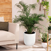 Garvee 14.5 Inch Tall Planters Set of 2 Flower Pots with a Water Level Monitor, Self Watering Insert and Hidden Wheels, Ideal for Living Room, Bedroom Office, Patio, Porch, Garden, White