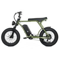 Garvee Electric Mountain Bike for Adults 20" x 4.0 Fat Tire, E-Bike 750W Motor 48V 15.6Ah Removable Battery, Max Speed 40MPH, Shi mano 7-Speed Adult Electric Bicycle for Off-Road Adventures, Green