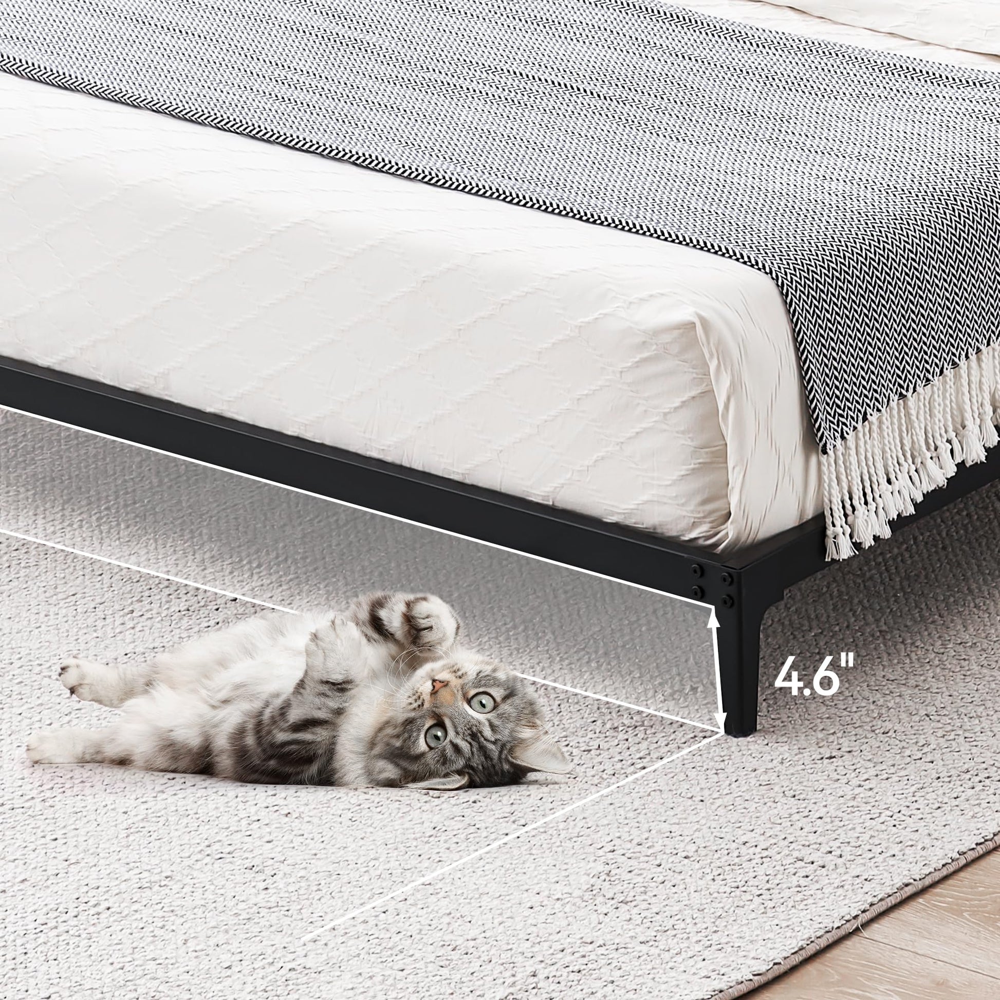 Garvee 6 Inch Low Queen Bed Frame Heavy Duty Metal Mattress Foundation Platform Sturdy Steel Slat No Box Spring Needed, Easy Assembly, Noise Free