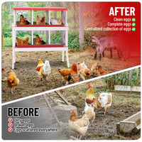 Garvee 6 Compartments Metal Chicken Nesting Boxes, Nesting Boxes with Metal Legs, Chicken Laying Box with Roll Out Egg Collection with Vented Holes