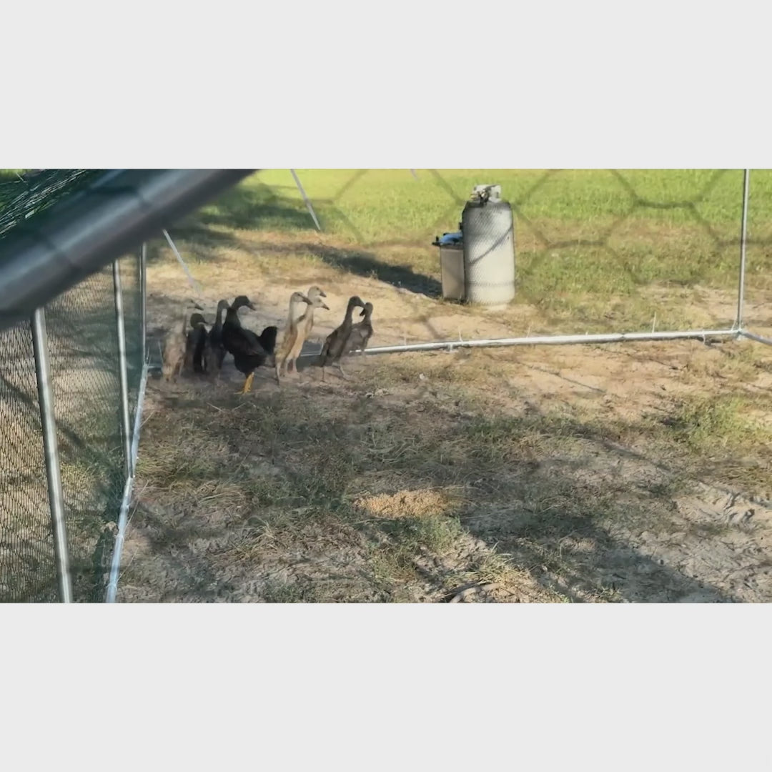 Garvee Large Metal Chicken Coop, Walk-in Poultry Cage, Chicken House with Waterproof and Anti-Ultraviolet Cover for Outdoor Yard Farm Silver - 9.8*19.7*6.6FT