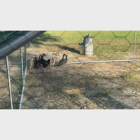 Garvee Large Metal Chicken Coop, Walk-in Poultry Cage, Chicken House with Waterproof and Anti-Ultraviolet Cover for Outdoor Yard Farm Silver - 9.8*19.7*6.6FT