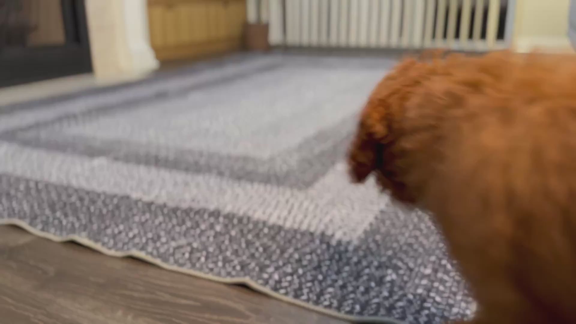 Garvee Bordered Grey 6x9 Washable Braided Rug, Washable Low Pile Non-Slip Polyester Cozy Texture Traditional Aesthetic for Living Room, Bedroom, Office