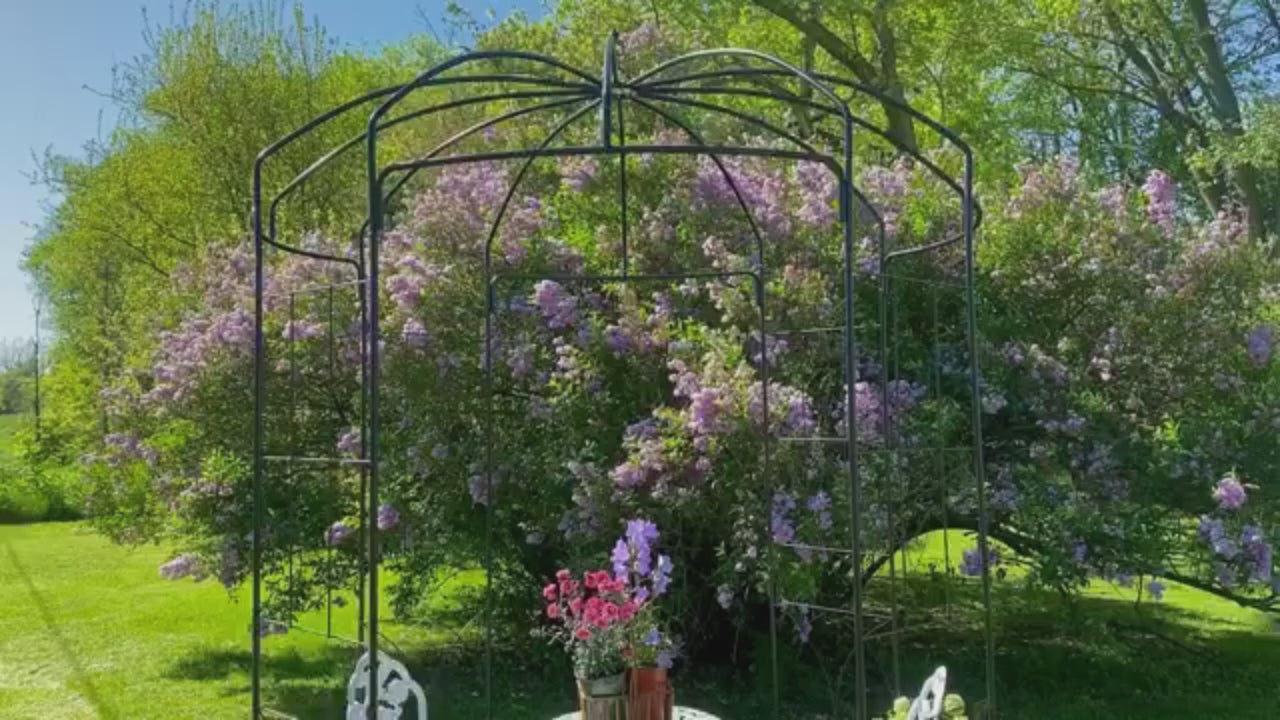 Garvee 8.8 FT Birdcage Garden Arch Metal Arbor Rust-Resistant Reinforced Steel Elegant Climbing Flower Support Patio Backyard Wedding