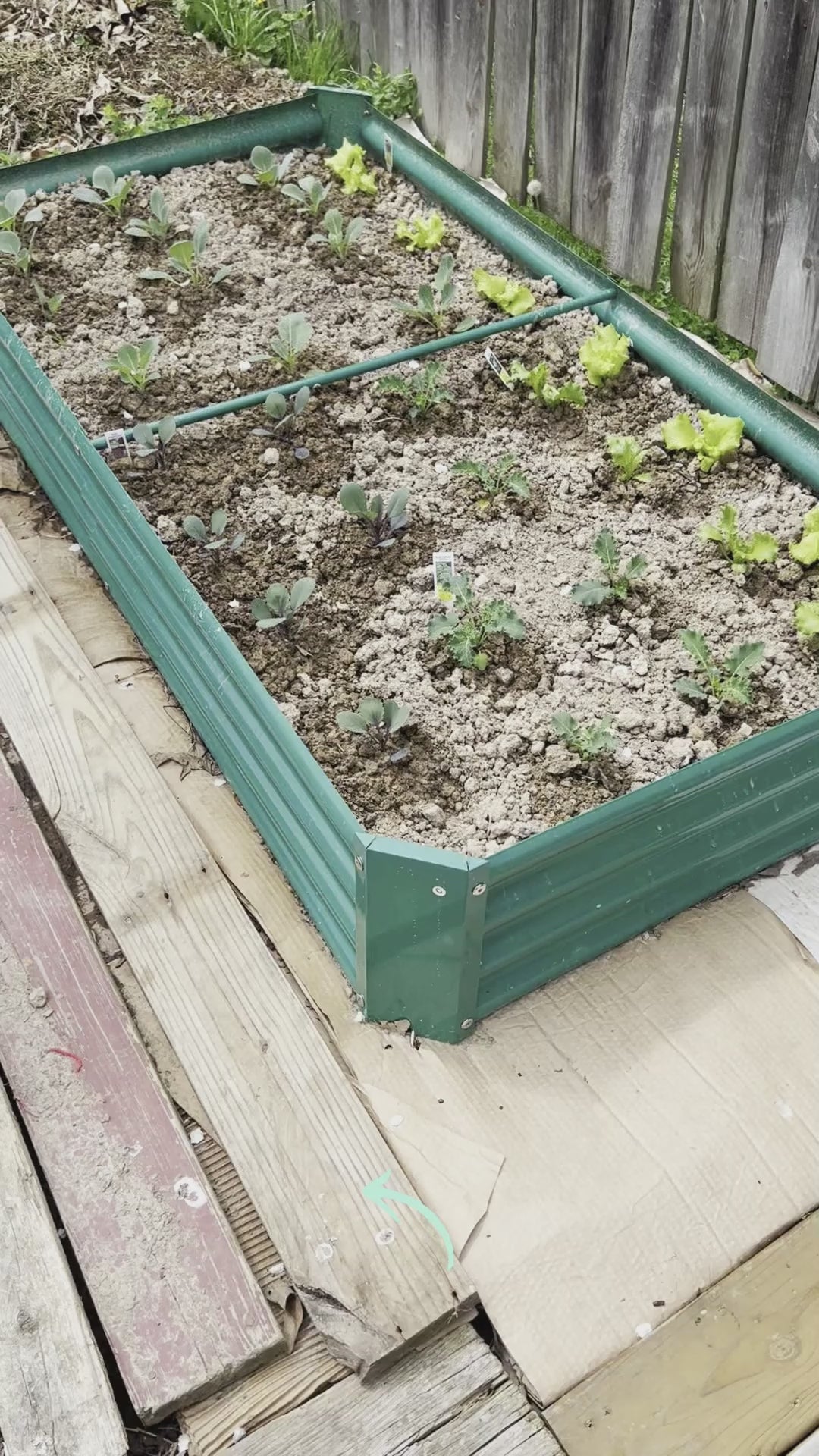 Garvee 8x4x2ft Galvanized Raised Garden Bed,Deep Root Planter Box for Vegetables,Flowers,Herbs-Large Metal Raised Garden Bed Kit Outdoor,Green