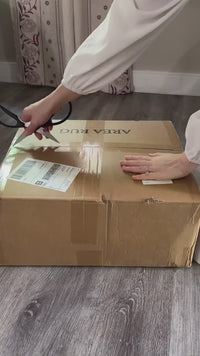 Garvee Bordered Brown 6x9 Braided Washable Rug, Low Pile Non-Slip Polyester Vintage Farmhouse Carpet for Living Room Bedroom