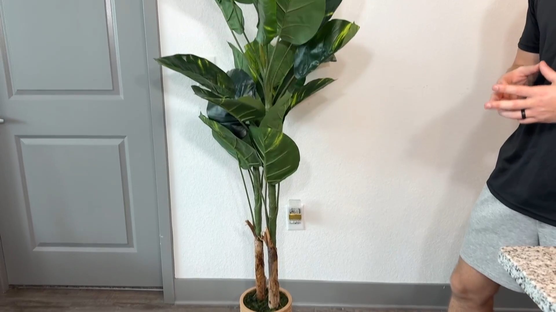 Garvee Artificial Plant Indoor 5ft, Fake Tree with Decorative Planter,Tall Faux Floor Plants, Indoor and Outdoor Artificial Scindapsus Aureus Trees for Home Office Decor