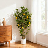 Garvee 4FT Artificial Lemon Trees, 2-Pack Realistic Silk Citrus Plants with Yellow Faux Lemons, UV-Resistant, Black Gravel Pot, Perfect for Indoor Home, Office, Kitchen, Party, Wedding Decor – Color: Black Pot-Fine Stone