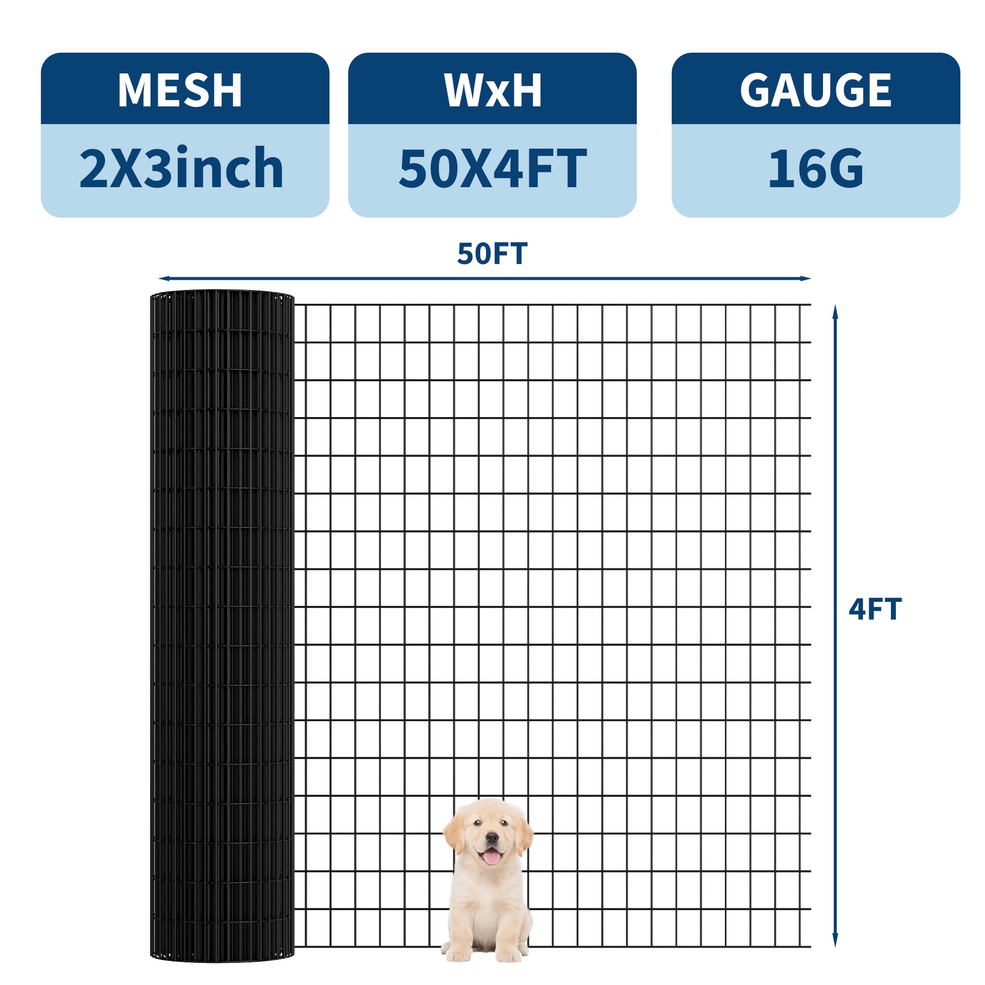 PPG_35GND6QU