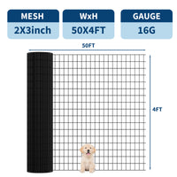 PPG_35GND6QU