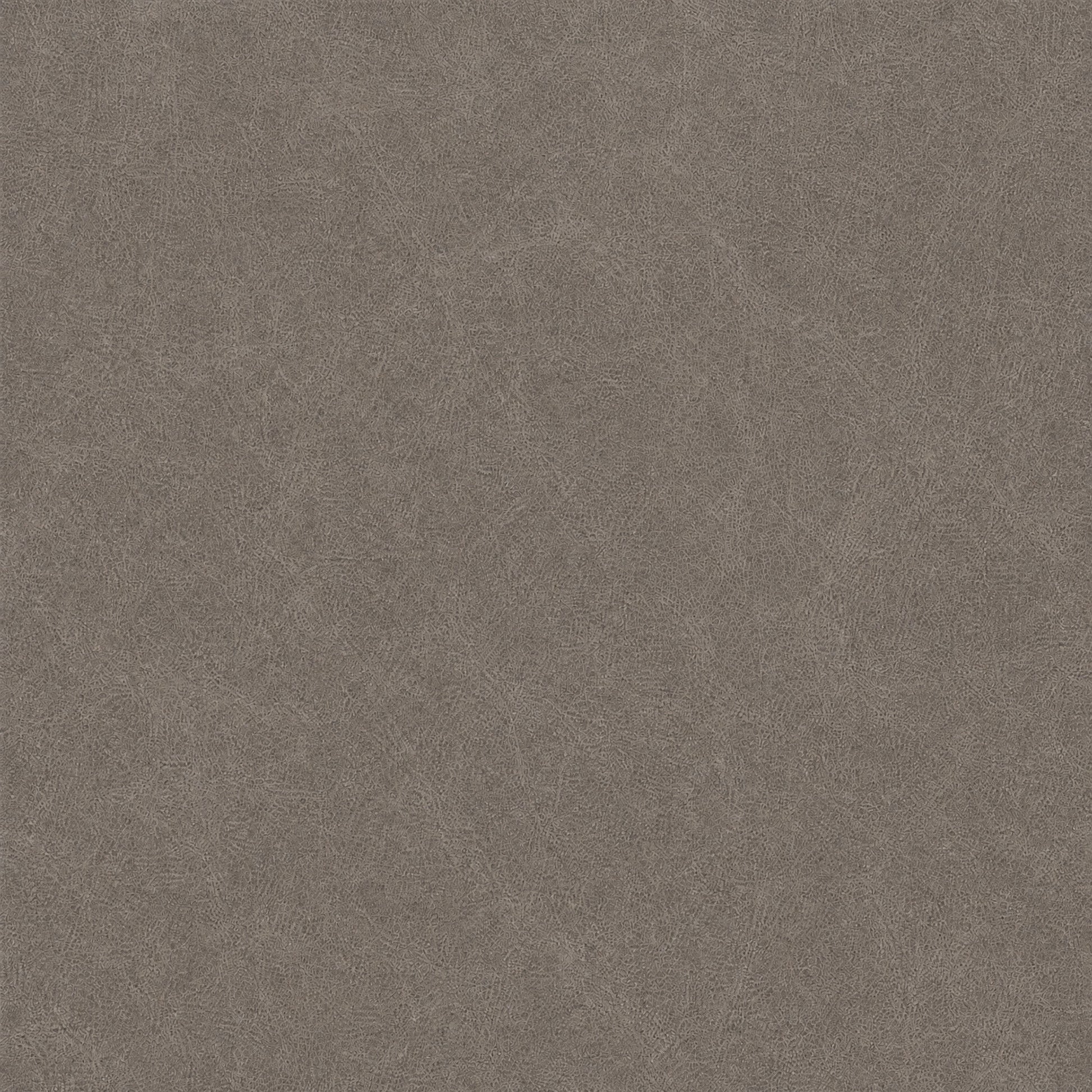 PPG_35TRXQS7