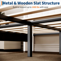 PHO_34V4SMG6