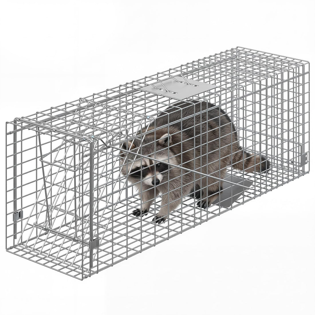 PPG_34RXCQFB