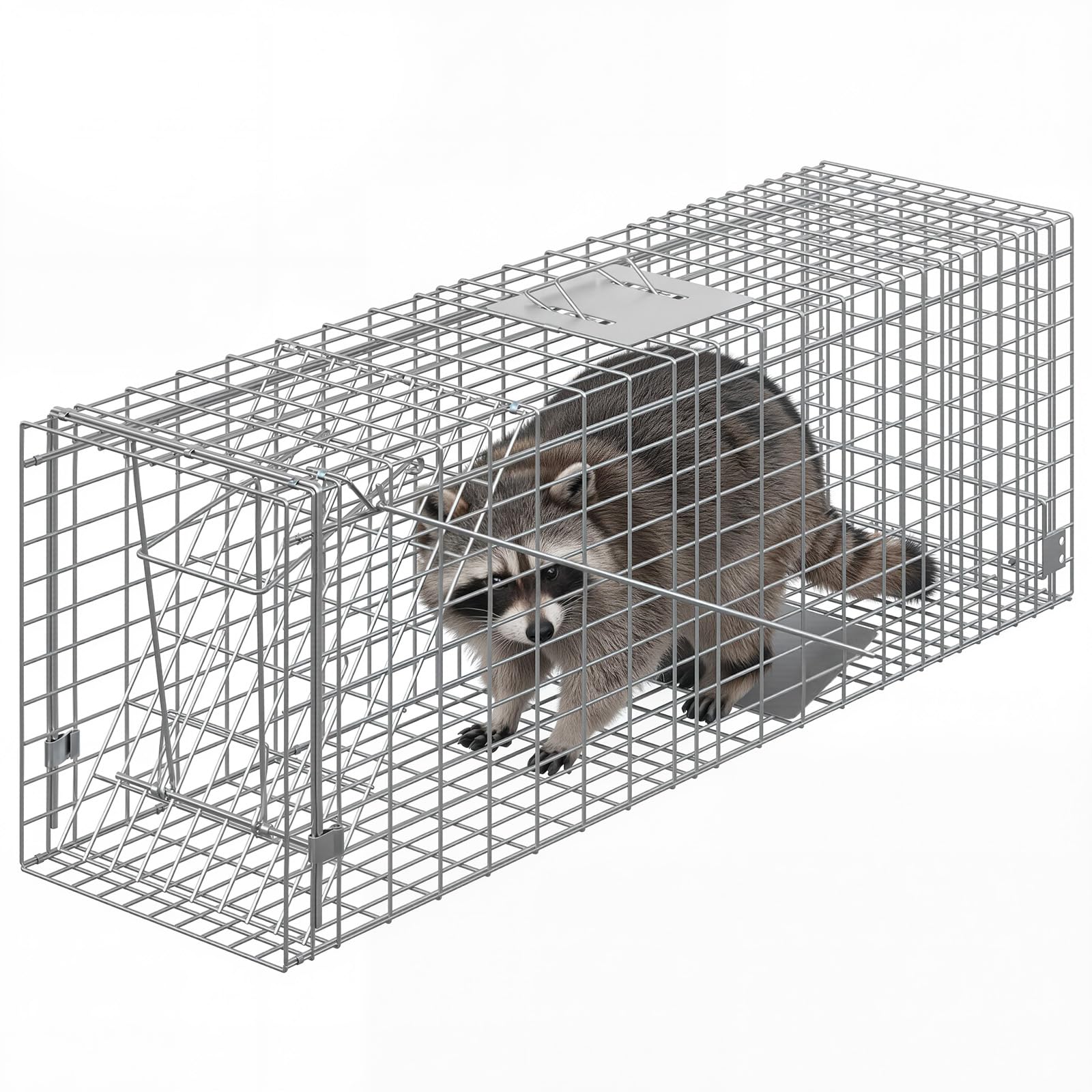 PPG_34RXCQFB