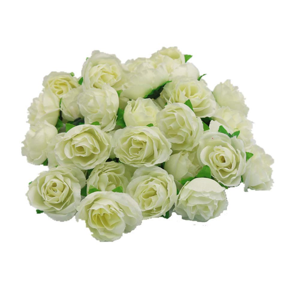 FQZOL_4XO7Y5NZ