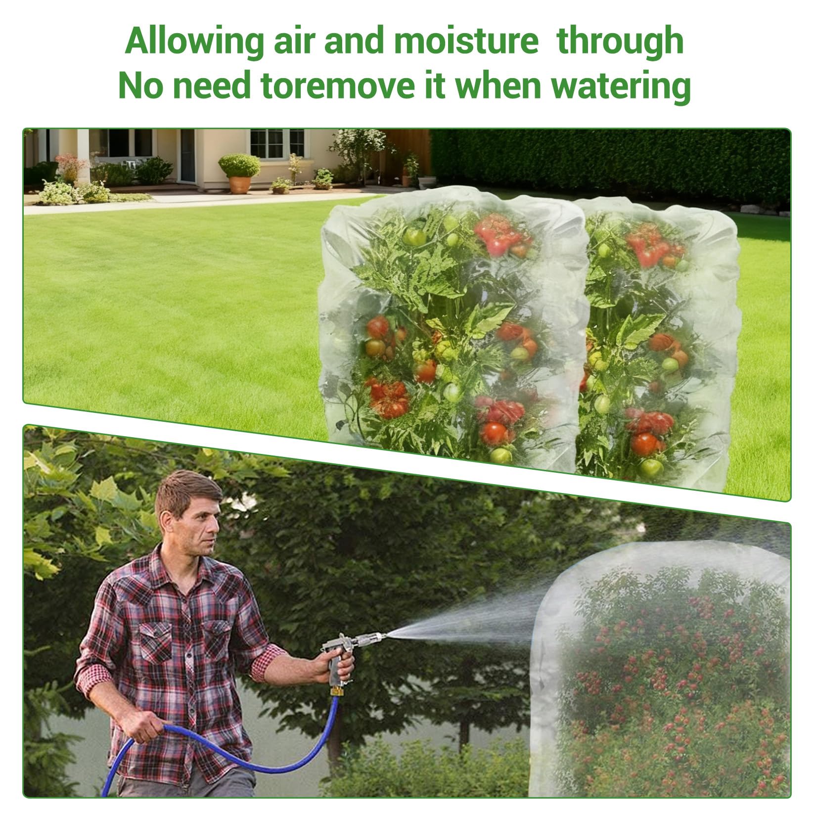 PPG_33WFBVWE