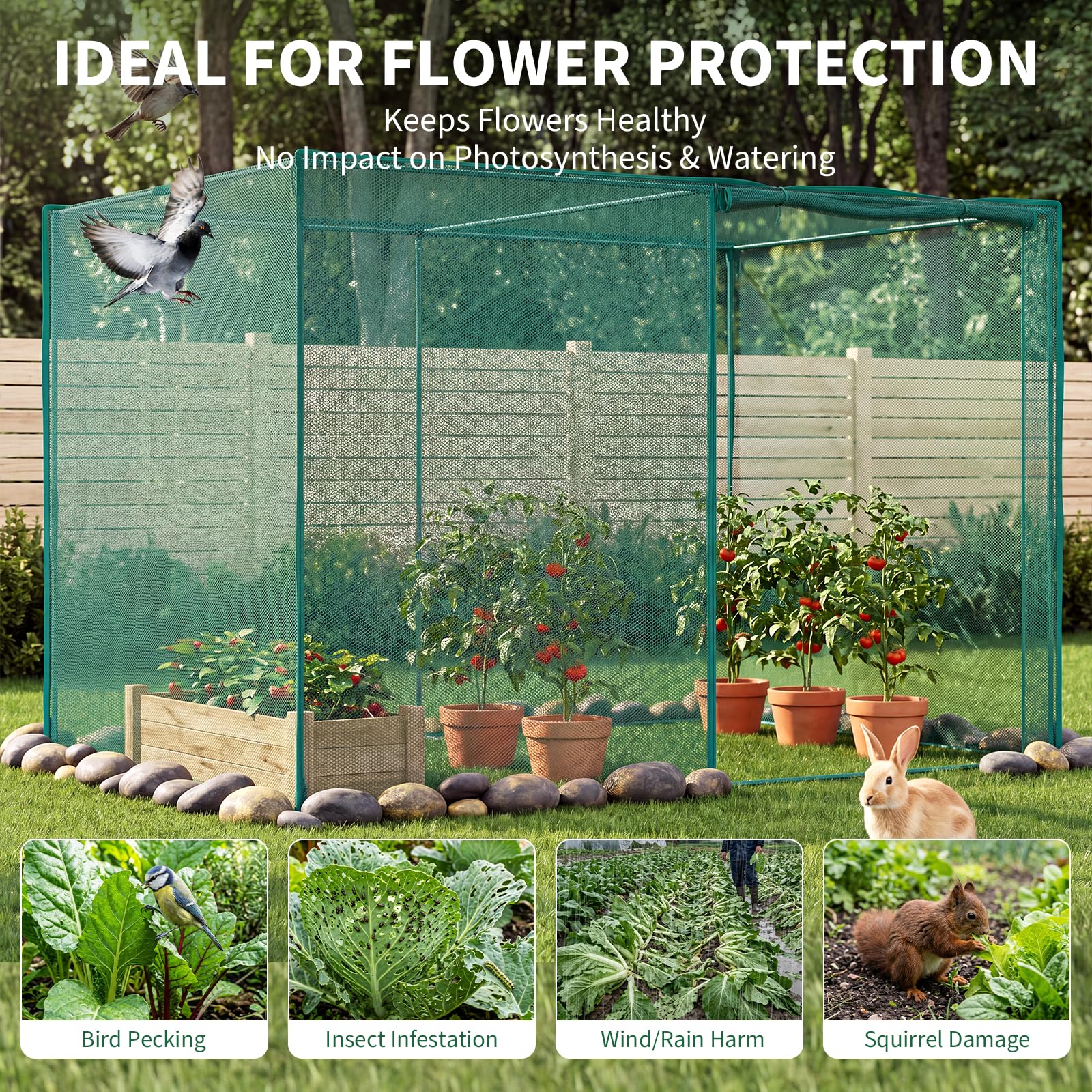 PPG_35TJ8AJQ