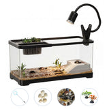 Garvee Turtle Tank Starter Kit, 3G Turtle Aquarium with Basking Platform & Turtle Light, 7PCS Acrylic Turtle Habitat for Small Turtles & Reptiles
