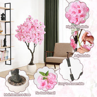 PHK_37HQBDTP