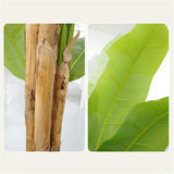 Garvee Artificial Banana Tree – 6.2FT Realistic Faux Greenery with 10 Large Lifelike Leaves & Natural Bark – Indoor/Outdoor Home or Office Decor – Low Maintenance – New Banana Tree Model | 1.9m Double Rod