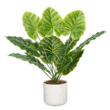 Garvee Artificial Fiddle Leaf Fig & Golden Pothos Set – Realistic Faux Indoor Green Plants in White Pots – Decorative Maintenance-Free Mini Trees for Home or Office – 2 Pack, 45cm Tall – Mini Dripping Water Design