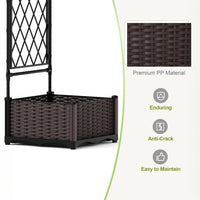 PPG_33MY3SMM