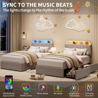 PHK_37RRDPTX