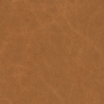 PPG_35TRSB4C