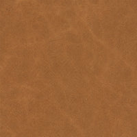 PPG_35TRSB4C