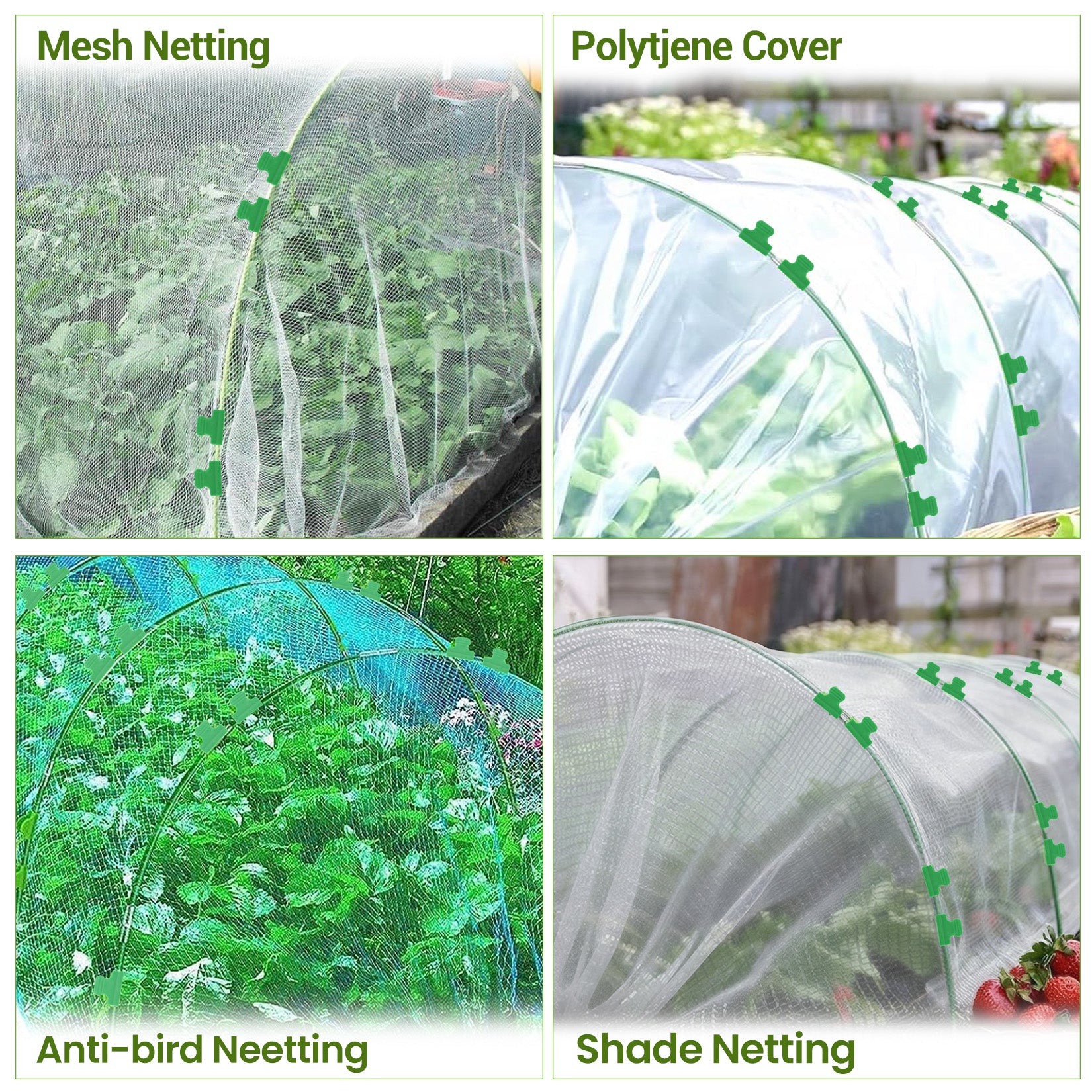 PPG_33WMABF8