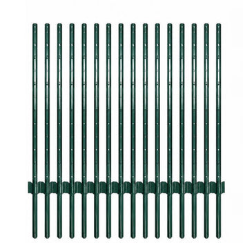 PPG_34Y447BN