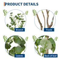 PHK_34LWK7WR