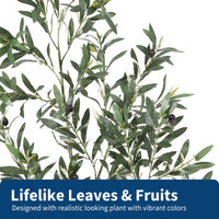 PHK_36RTBDM3