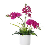 Garvee Real Touch Phalaenopsis Orchid in Pot, Artificial Fake Flowers with Vase for Table Centerpieces, Large Faux Orchids for Indoor Home Room Decor, Office Desk Decorations (Purple,3PCS) - Purple
