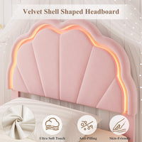 PHK_38ENLYBY