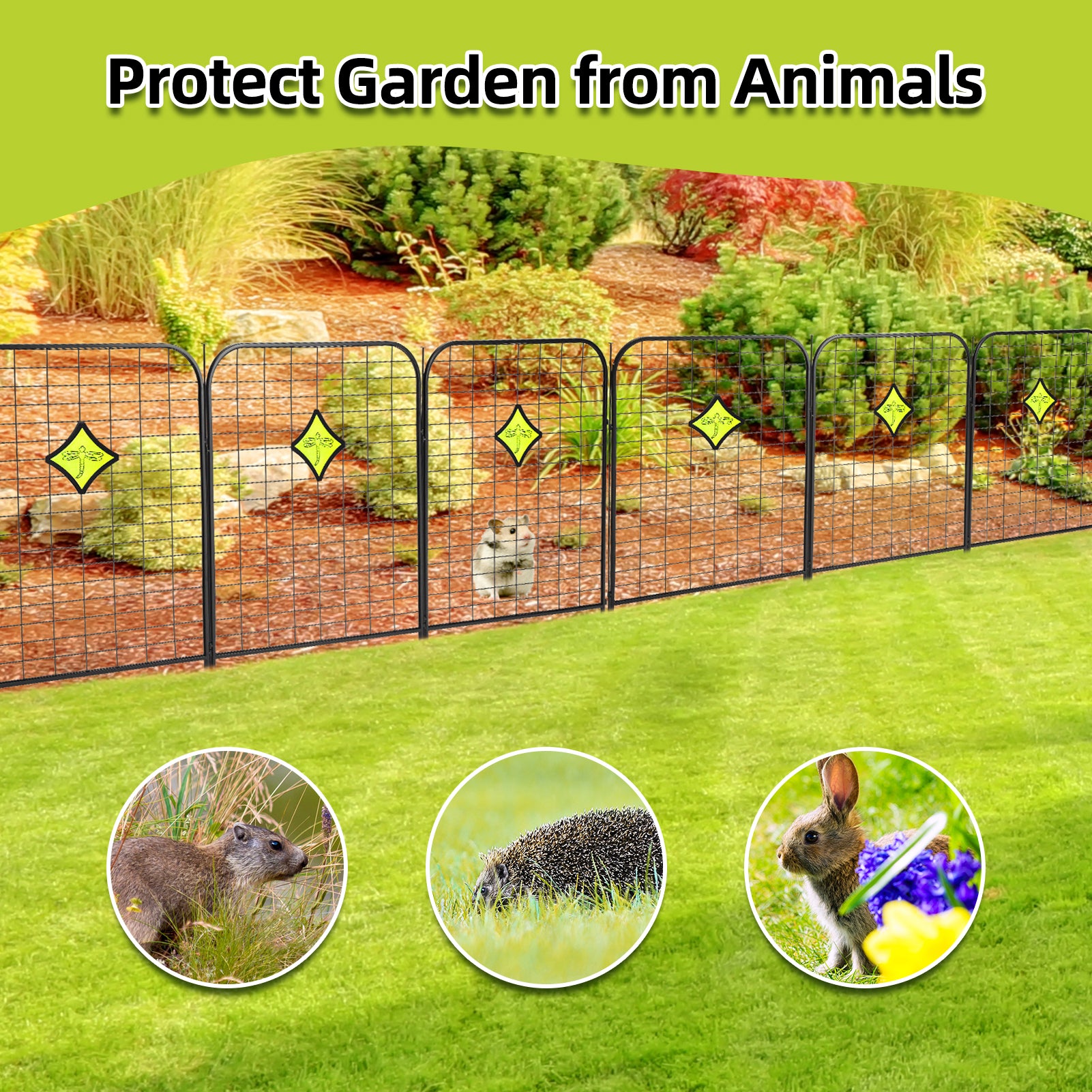 PHO_0X0MASVY