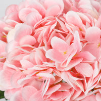 PHK_374X1VKD