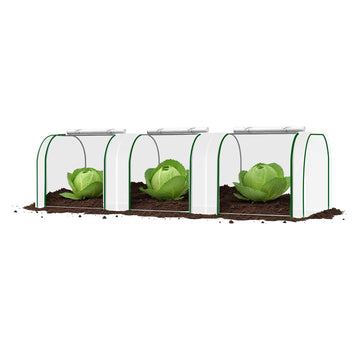 PPG_33PRAVPP