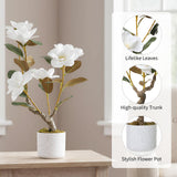 Garvee Realistic Artificial Magnolia Tree in White Pot – 24" Tall Faux Plant with 6 Bendable & Washable White Blooms – Home, Desk, Kitchen or Porch Decoration – White – Size 60, Magnolia, single