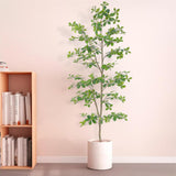 Garvee Realistic Artificial Schefflera Money Tree - 6FT Tall Faux Indoor Plant with Lifelike Green Leaves in Black Plastic Basin - Perfect for Home, Office, Living Room, Bedroom, Modern Farmhouse - 180cm Schefflera, Black Plastic Basin