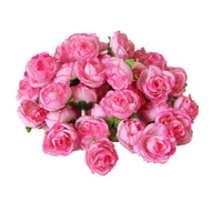 FQZOL_4XO7Y5NZ