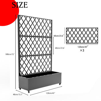 PPG_33CB3BFP
