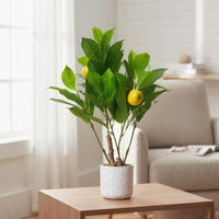PHK_36FK7DKE