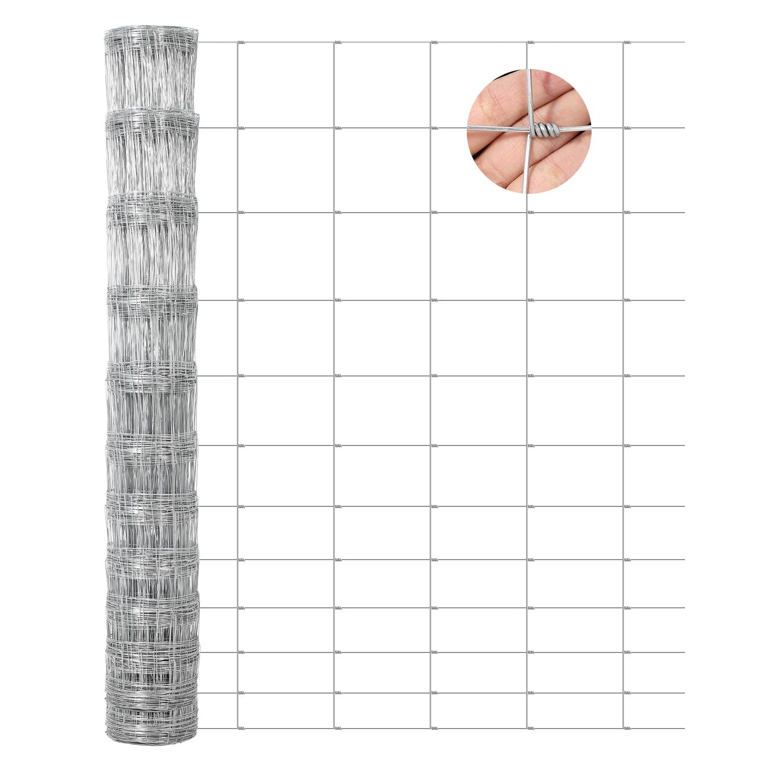 PPG_34KE8ABN