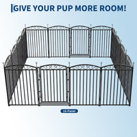 PPG_355D5WMM