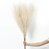 Garvee Extra Large Soft Faux Pampas Grass for Floor Vase – 45 Inch Beige Artificial Dried Flower Stems – Boho Home, Living Room & Wedding Decor – Set of 4 – Color: 024 Beige - Off White
