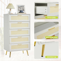 PHK_3878UANT