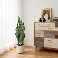 PHK_37TWPW95