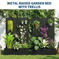 PPG_34CNTBS5
