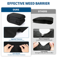 PPG_34CYYLVU